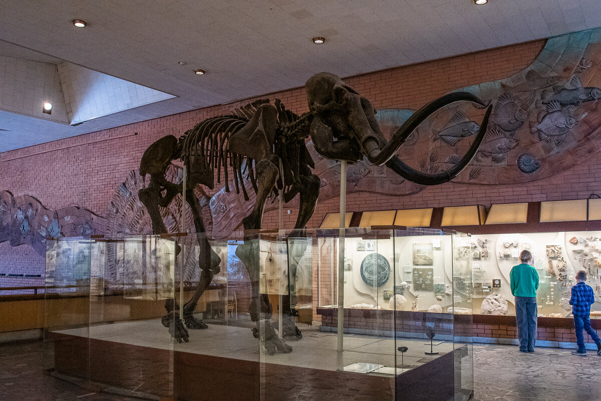 В музее - Павел Катков