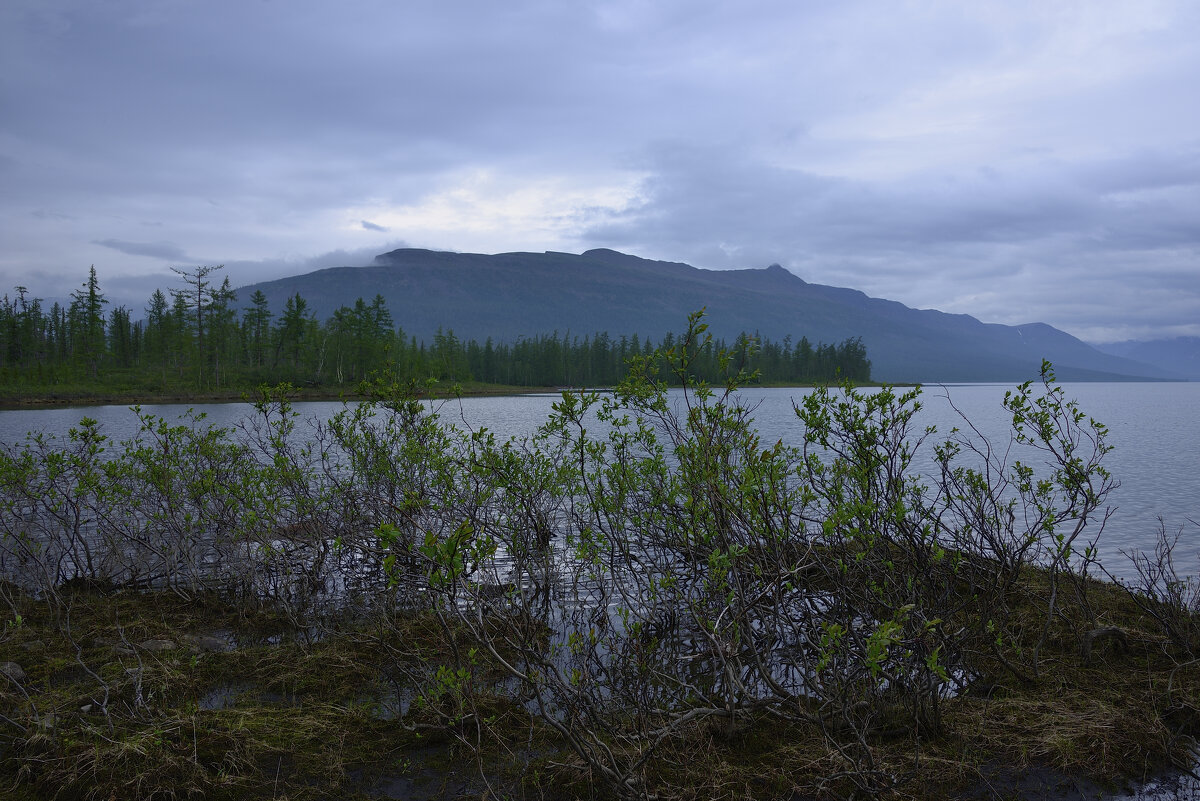 *** - Александр Хаецкий