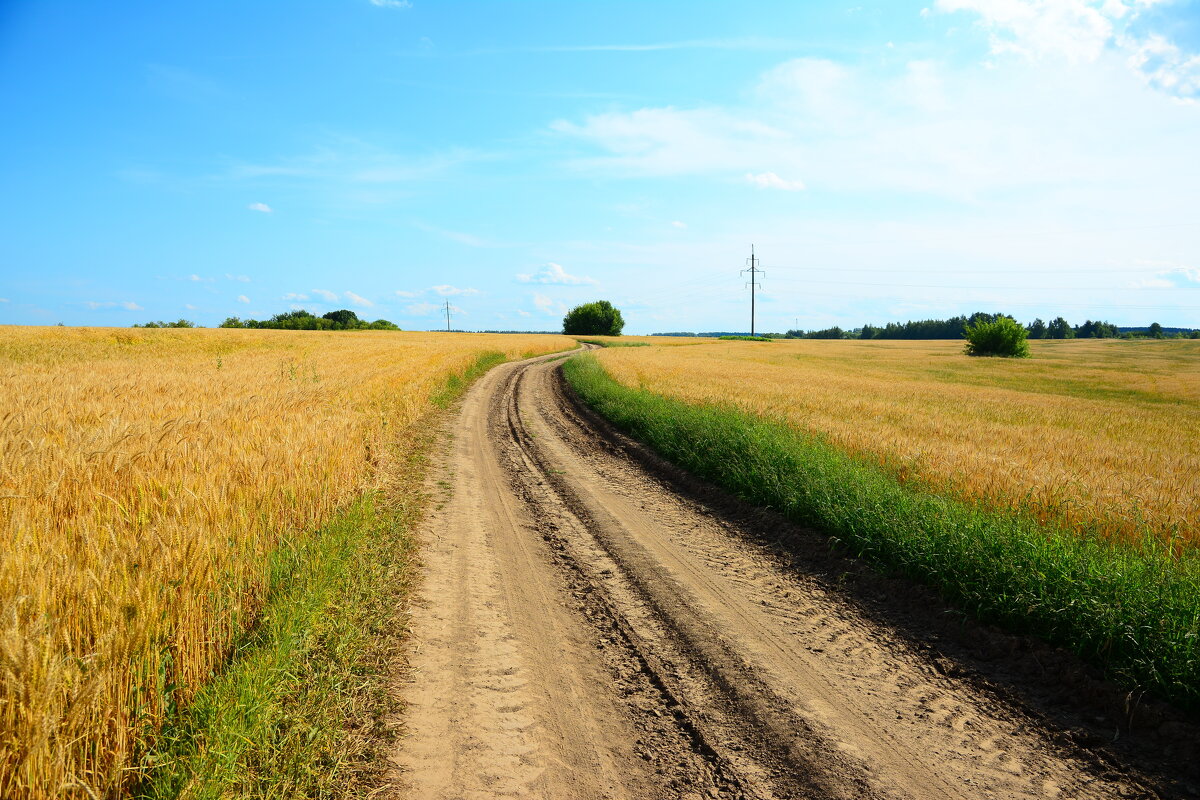 Полевые дороги России. - Михаил Колосов Полевые дороги России. - Михаил Колосов
