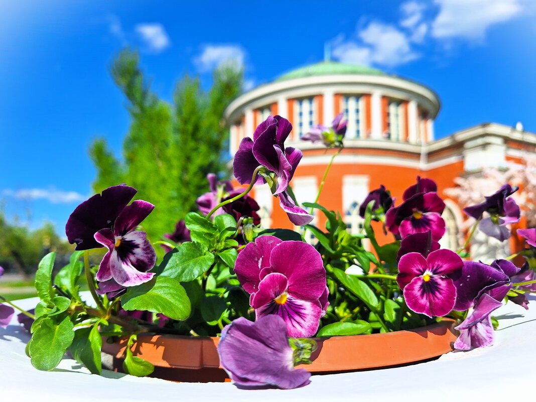 Царицино - Наталья 