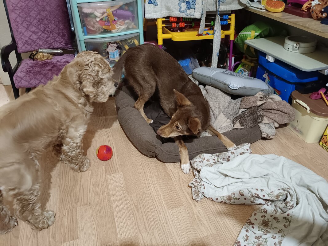 Давай поиграем... - Мария Васильева