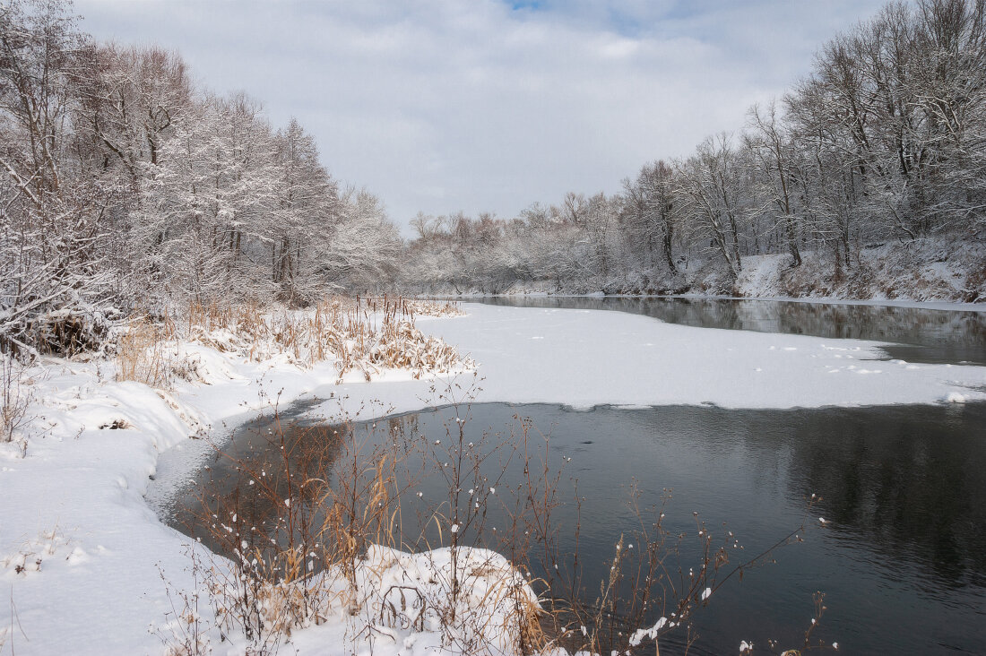 Зима на Медведице - Елена П Зима на Медведице - Елена П