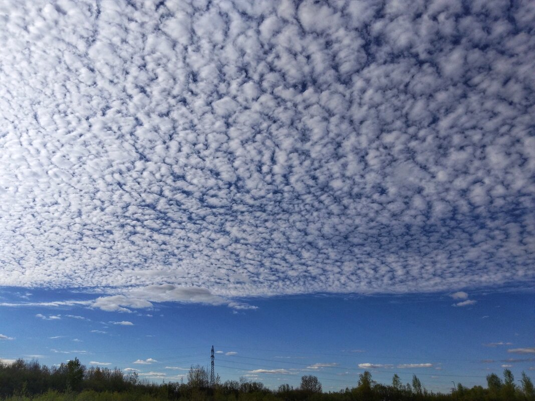 *** - Шу Юншен