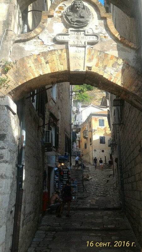 Черногория - Натали 