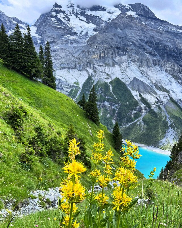 Швейцария, озеро Эшинен - А  И М