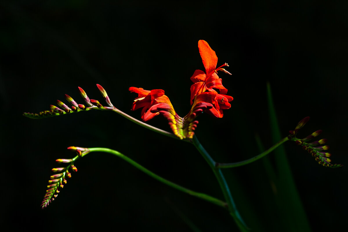 Пробуждение. - Игорь Викторов Пробуждение. - Игорь Викторов