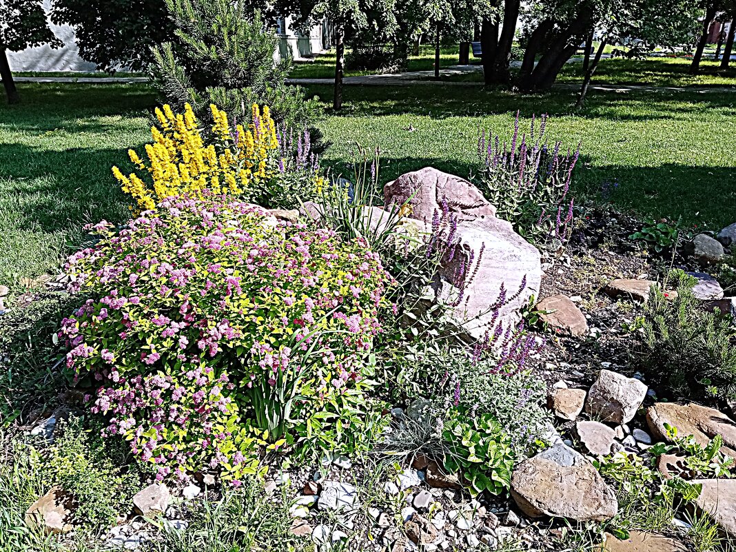 Цветы. - Владимир Драгунский