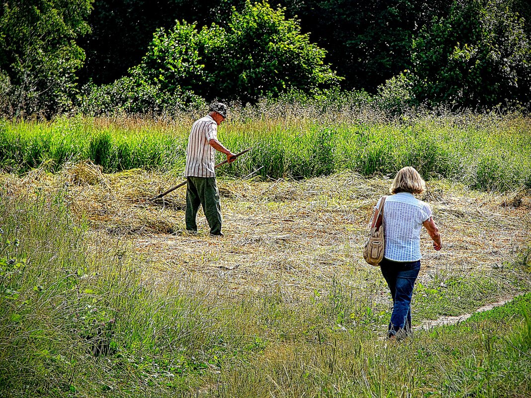 Внук печника Бендерина,,,) - Анатолий Колосов