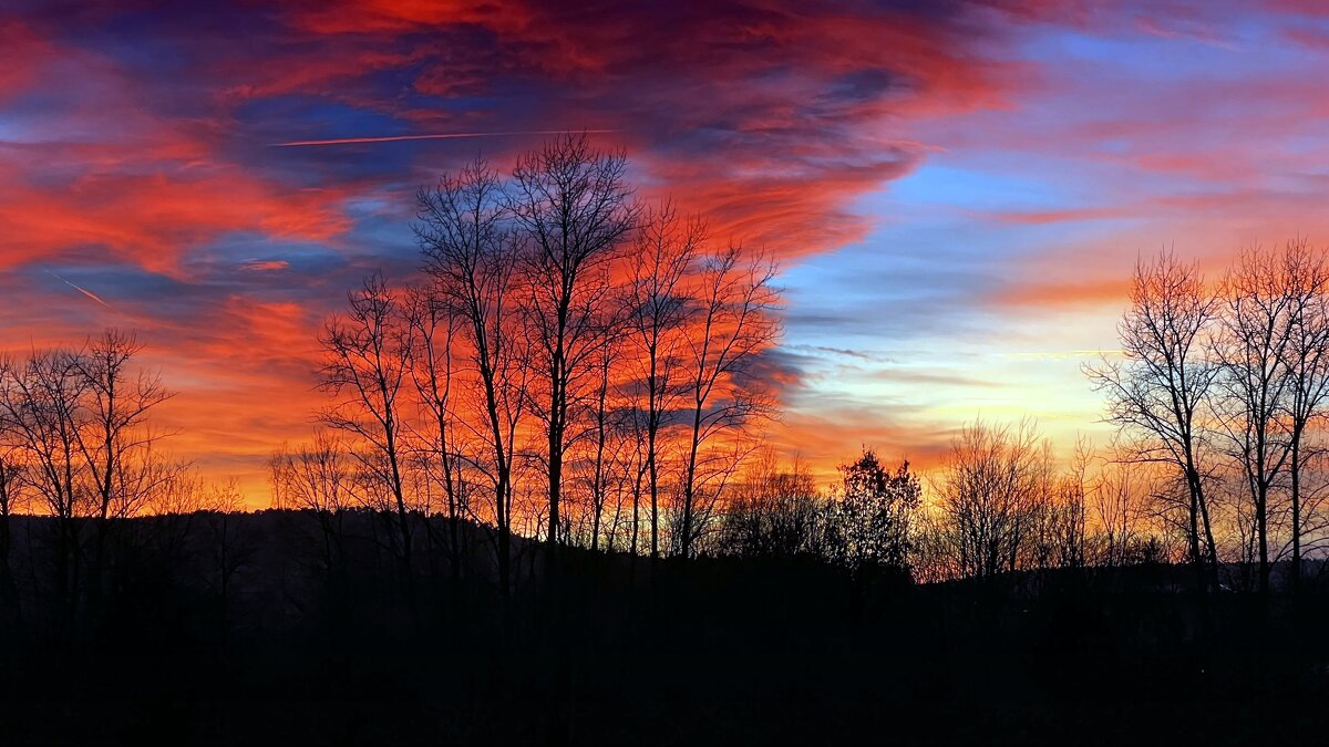 "The Natural World" (Мир Природы) - "The Natural World" Александер "The Natural World" (Мир Природы) - "The Natural World" Александер