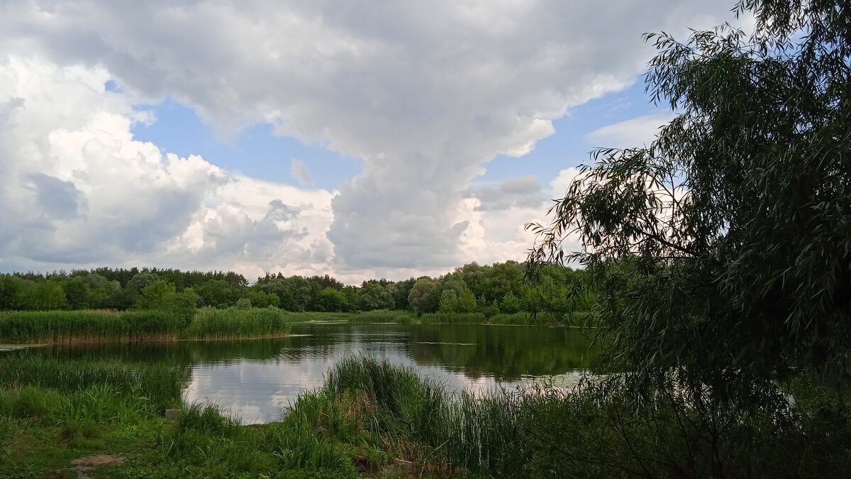 Усманка Воронеж прекрасная окраина - Елена Шаламова Усманка Воронеж прекрасная окраина - Елена Шаламова