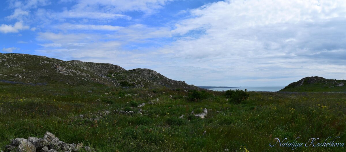 Природа Крыма - Amazing Cosmea