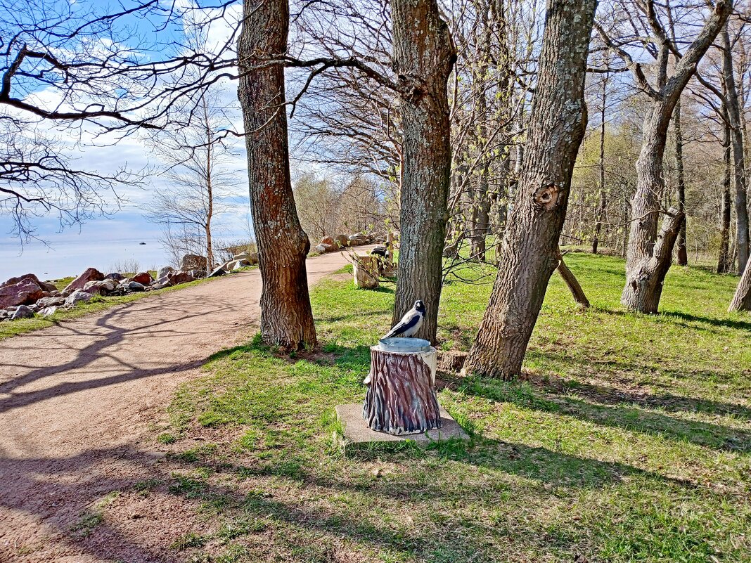 Пустая кормушка, безобразие какое! - Лия ☼