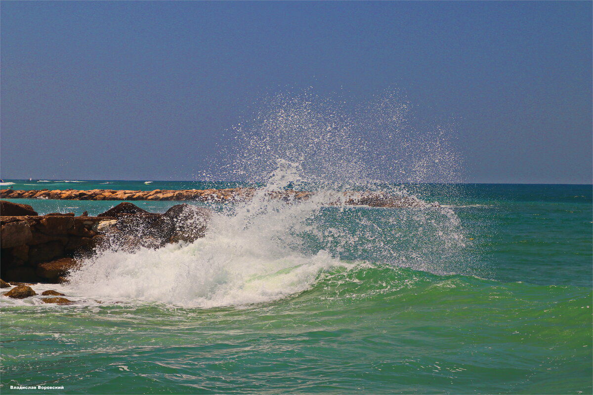 Хайфа 2025 - Владислав Воровский 