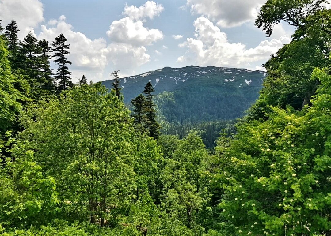 СЕВЕРНЫЙ КАВКАЗ - Tata Wolf