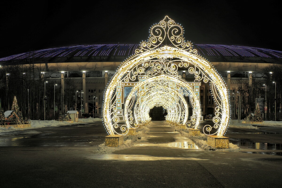 Лужники. - Евгений Седов