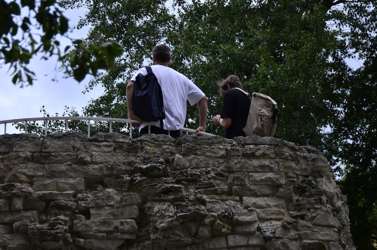 Мужской разговор. - Наталья Вязигина