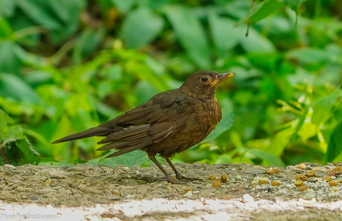 Настороже... - Владимир Жданов