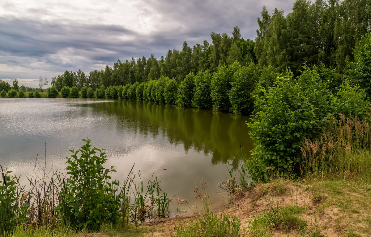 Рыбное место - Андрей Дворников