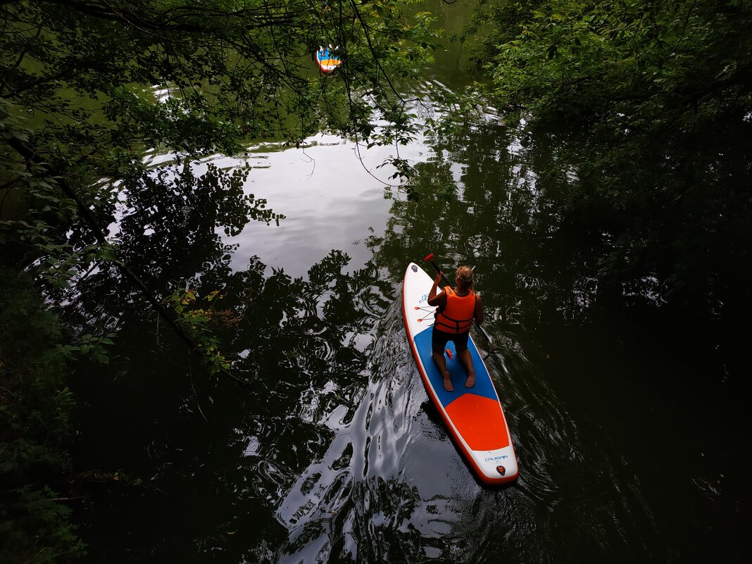 Водоплавающие - Андрей Лукьянов