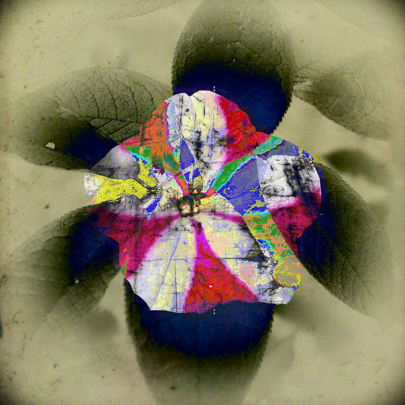 Назва. отсу. - Денис Безногов Назва. отсу. - Денис Безногов