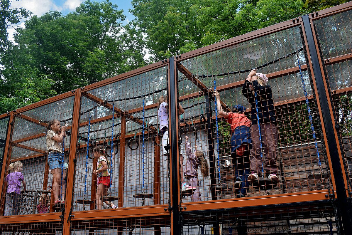 В зоопарке и детки в клетке. - Татьяна Помогалова В зоопарке и детки в клетке. - Татьяна Помогалова