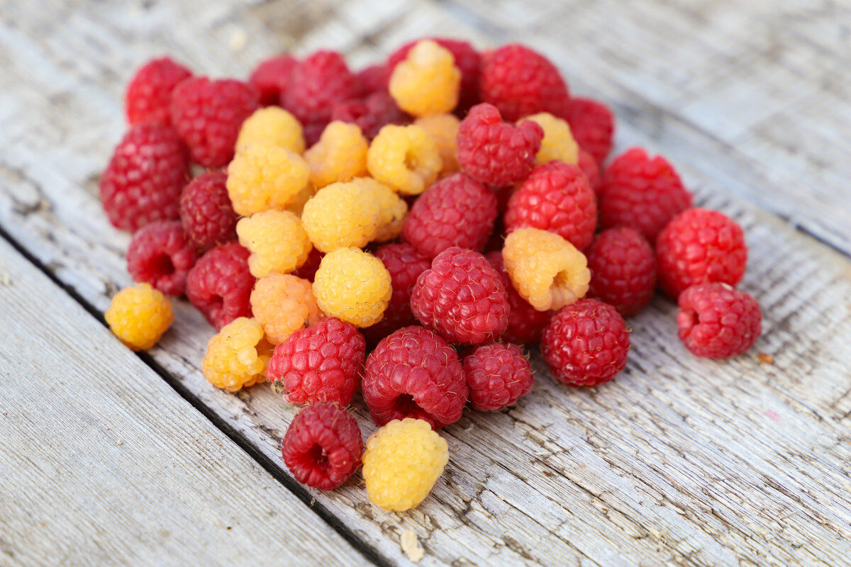 малинка - краснов юрий малинка - краснов юрий