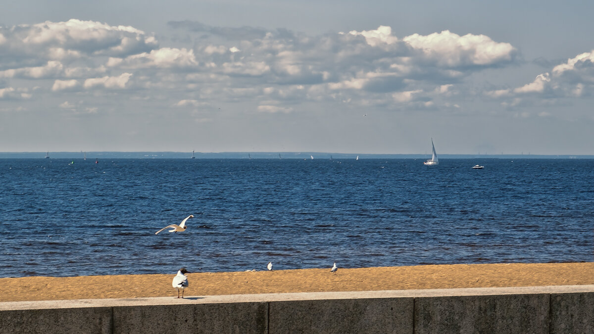 Пляж... - Сергей Шатохин 