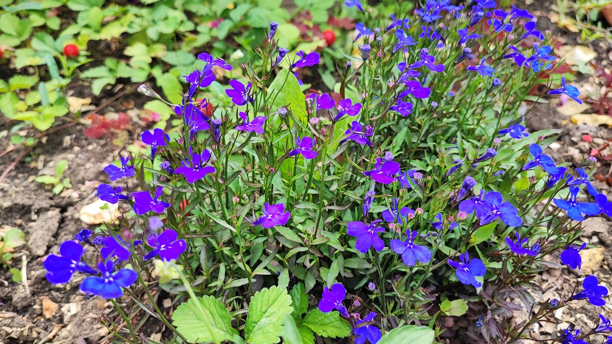 ,,, - Сергей Тимоновский