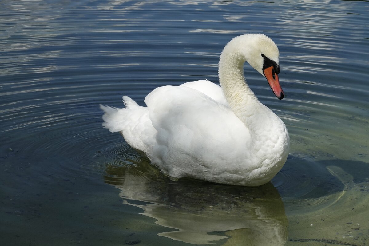 ... - Галина ... - Галина