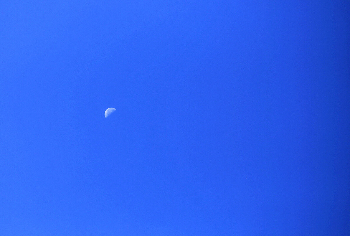 Вечный спутник - Юрий Гайворонскiий