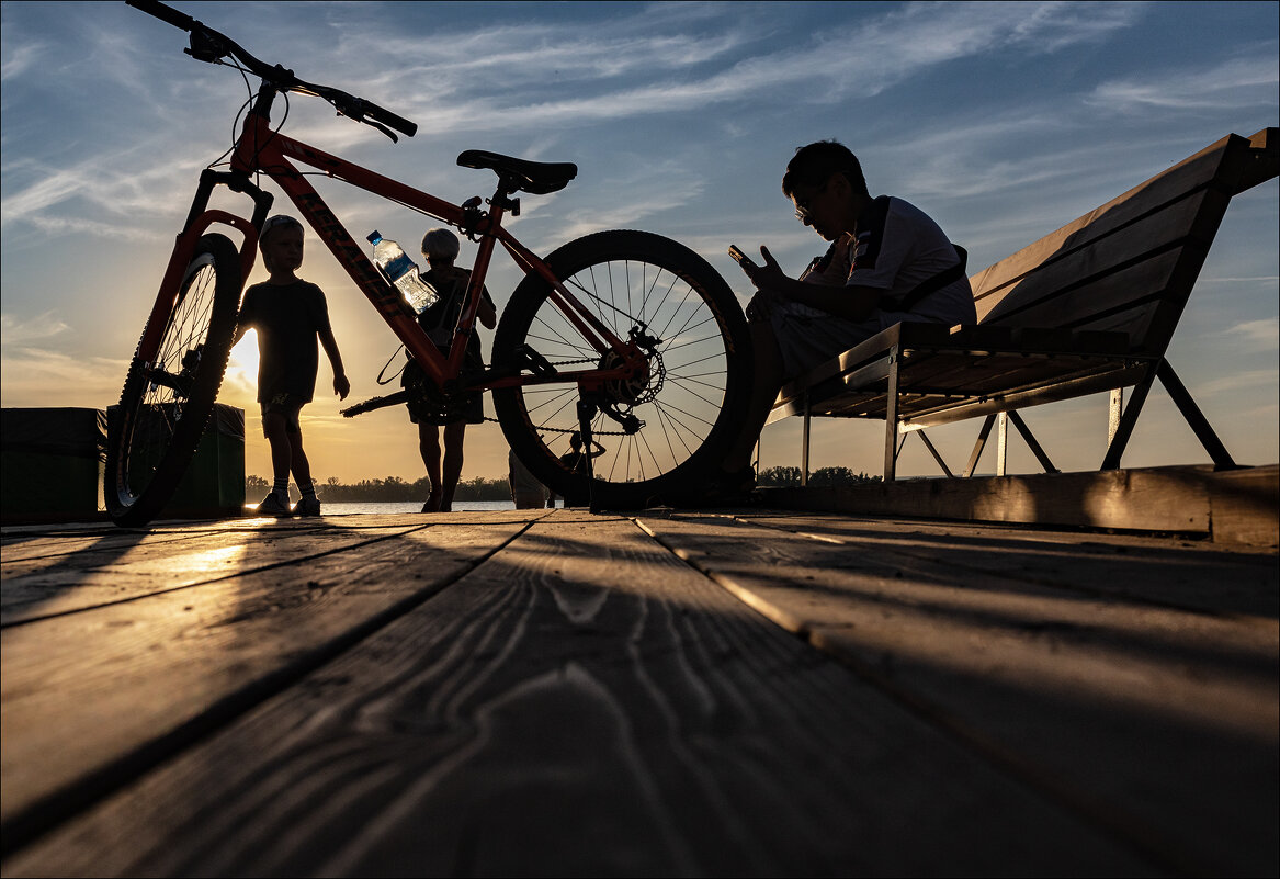 ... - Елена Демидова 