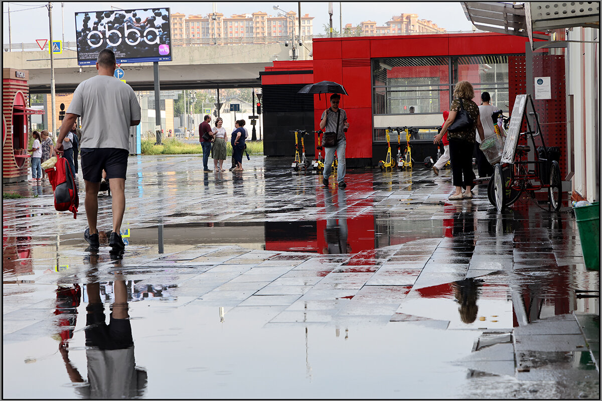 После ливня - Сергей Премонишын