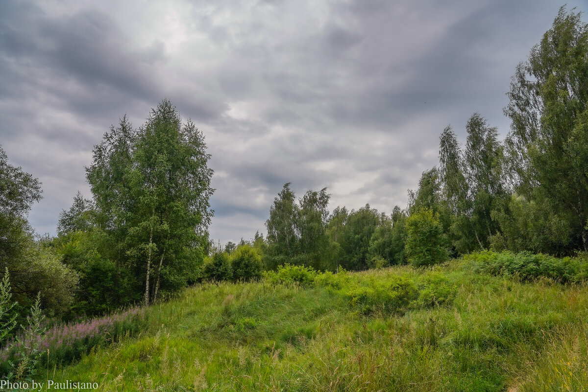 Хмурый июль... - Владимир Жданов