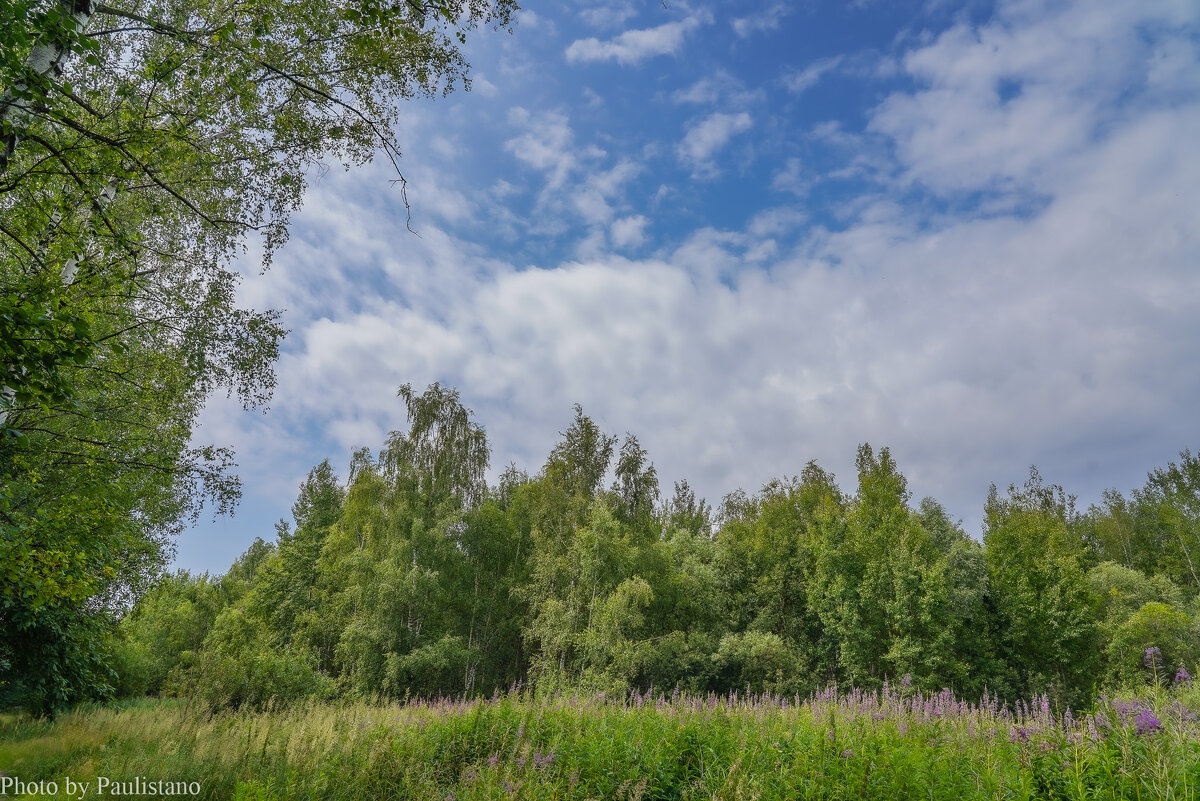 На опушке... - Владимир Жданов На опушке... - Владимир Жданов