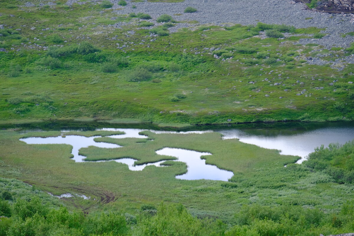 Озерные пазлы ) - Андрей Зайцев Озерные пазлы ) - Андрей Зайцев