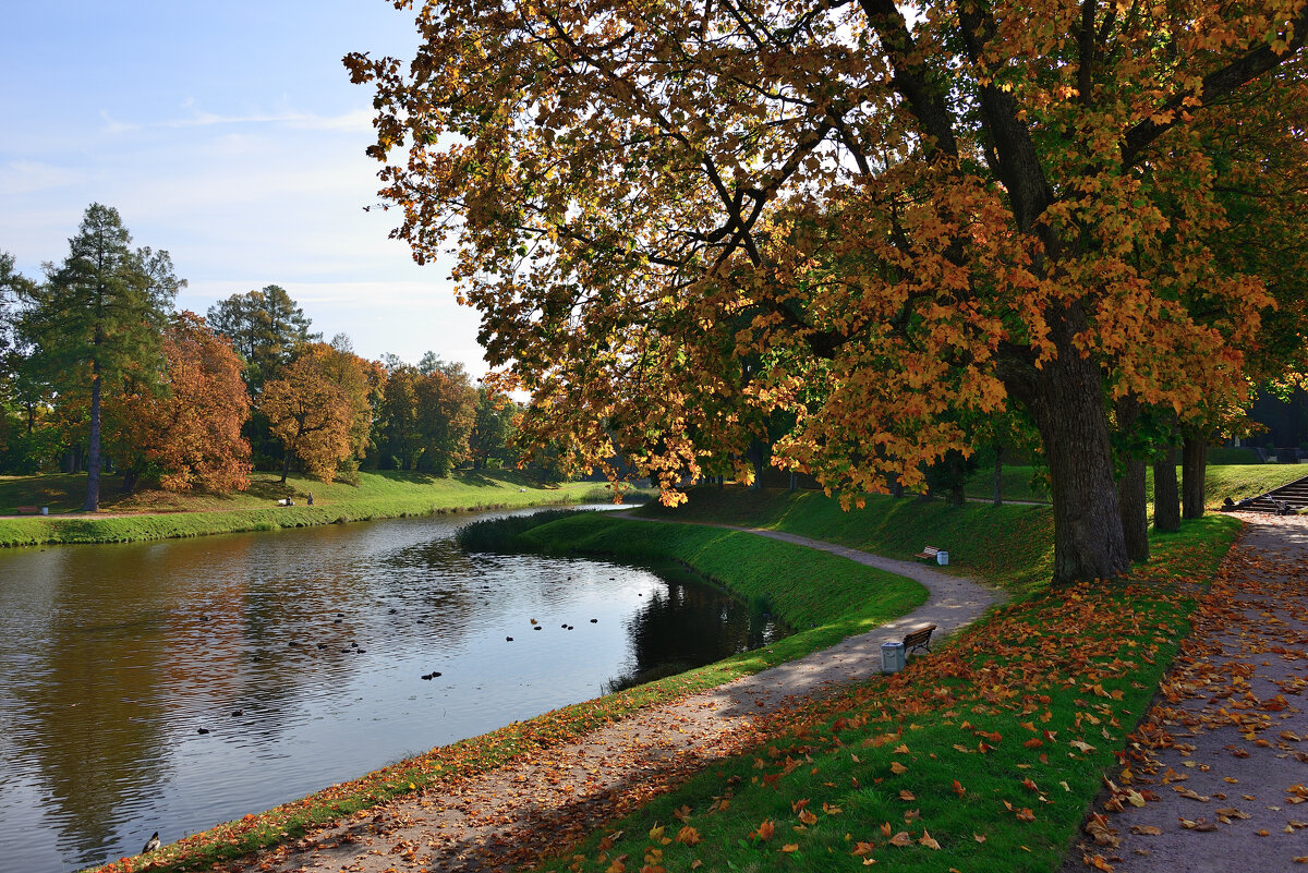 *** - Александр Хаецкий