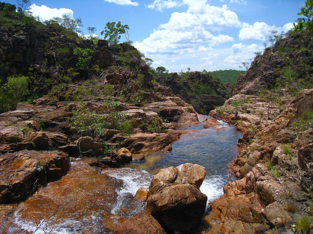 Ручей Гринант-Крик на севере Австралии. - unix (Илья Утропов)