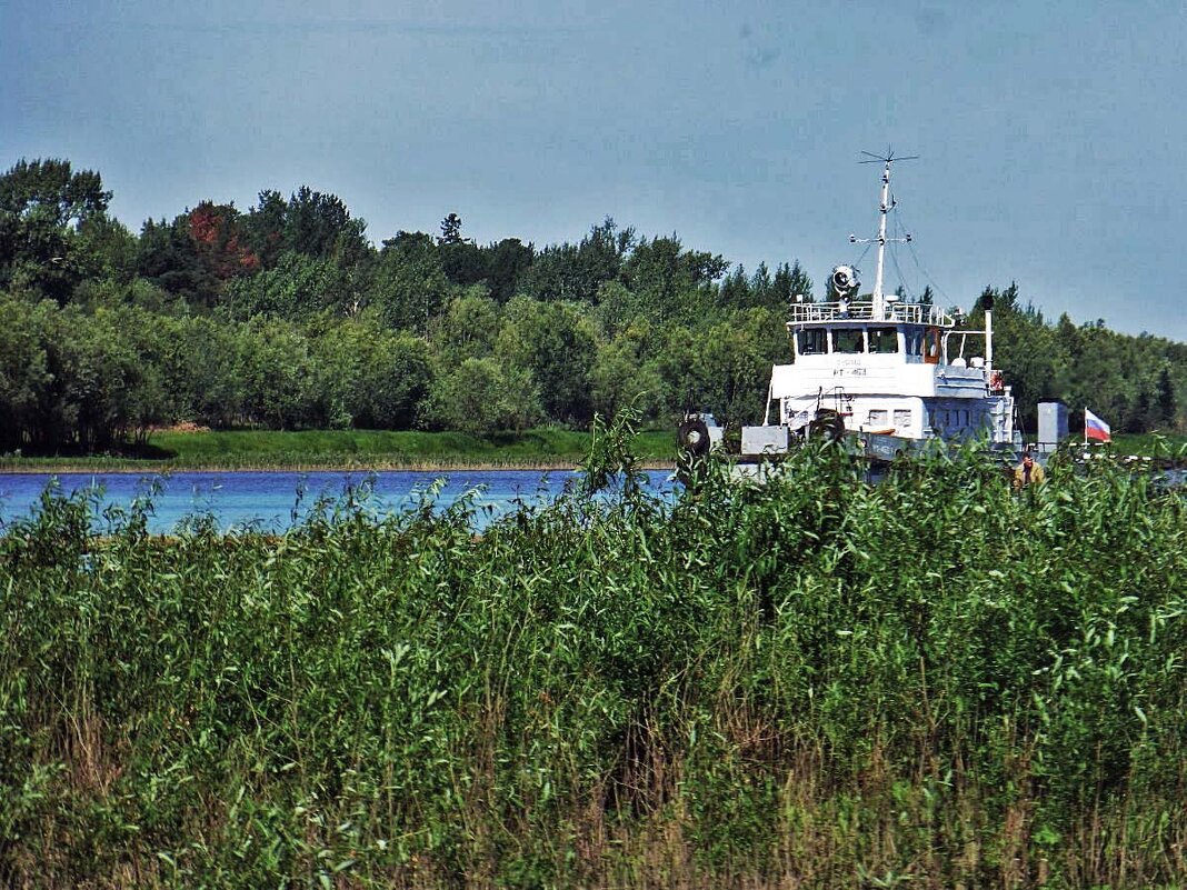 Июнь на протоке Юганская Обь! - Владимир 