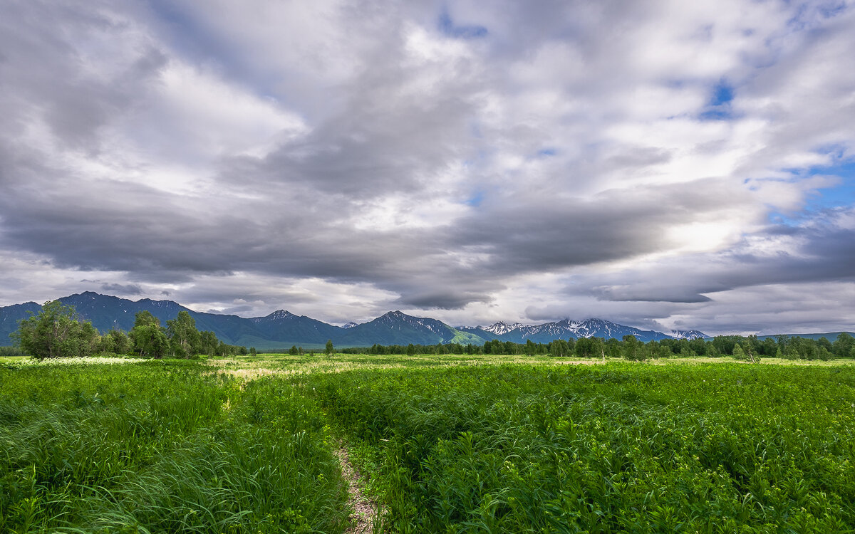 ... - Жора Житников