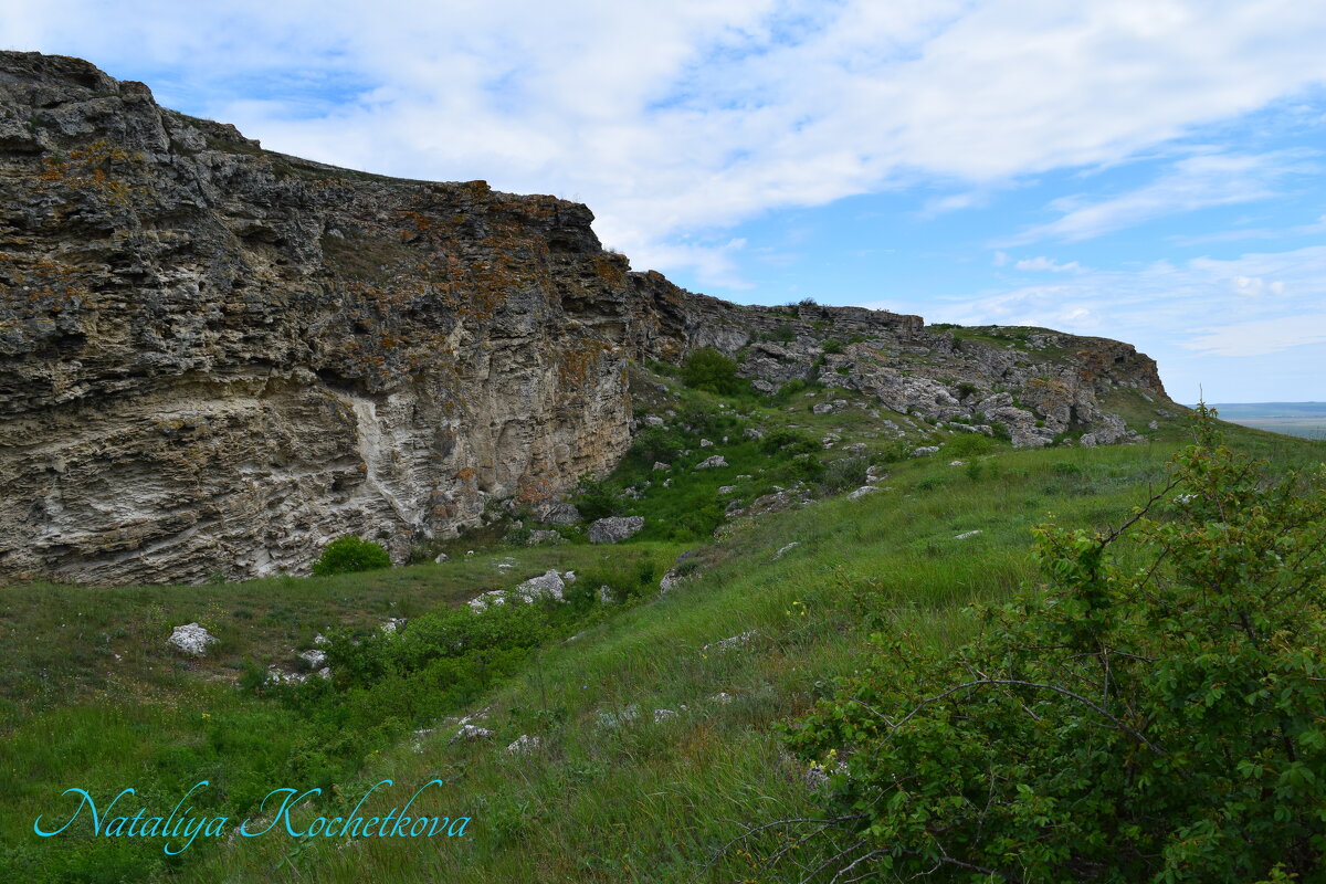 Природа Крыма - Amazing Cosmea