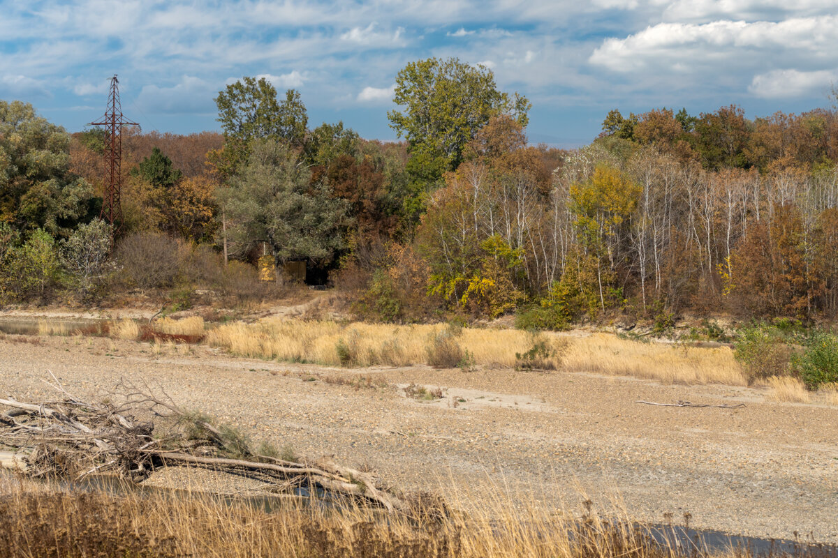 Осень - Игорь Сикорский