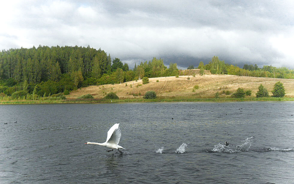 На взлет - Ирина 