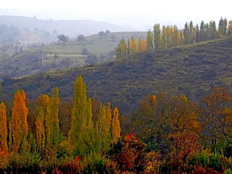 ПО НИЗАМ. - Виктор Осипчук