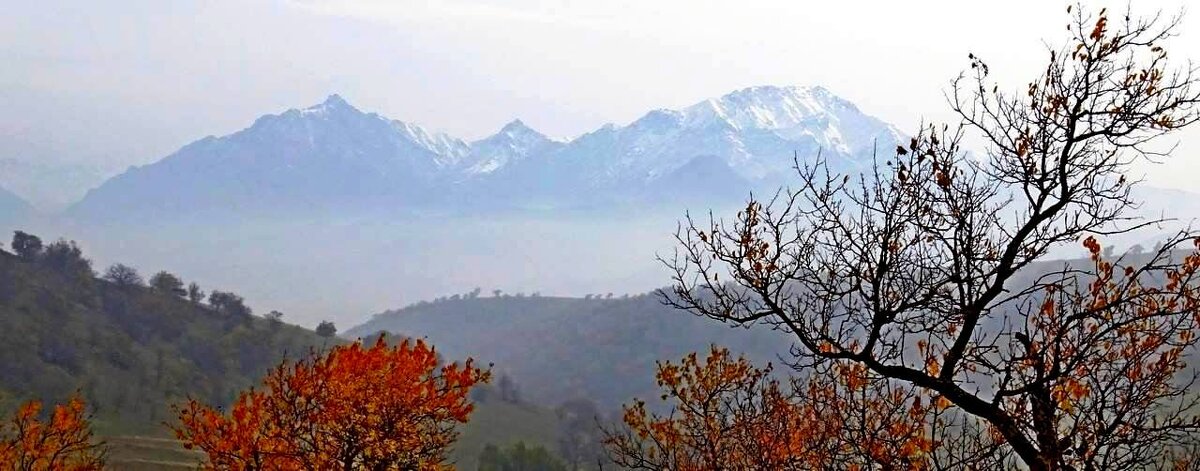 ПО НИЗАМ. - Виктор Осипчук