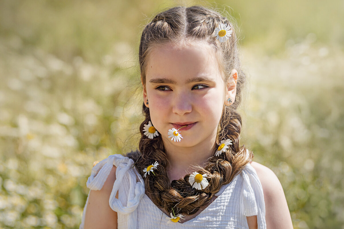 Ромашковое лето - Svetlana Galvez