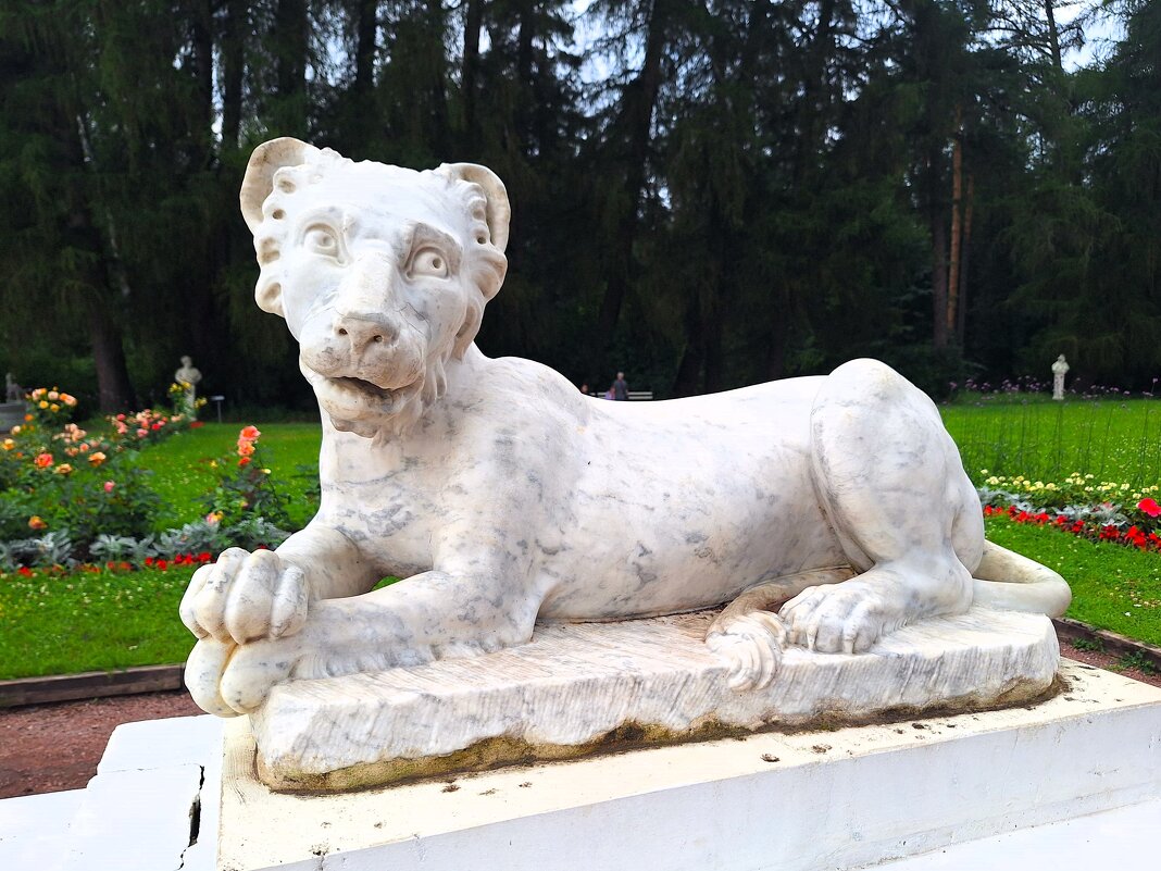 Милый львенок - Наталья 