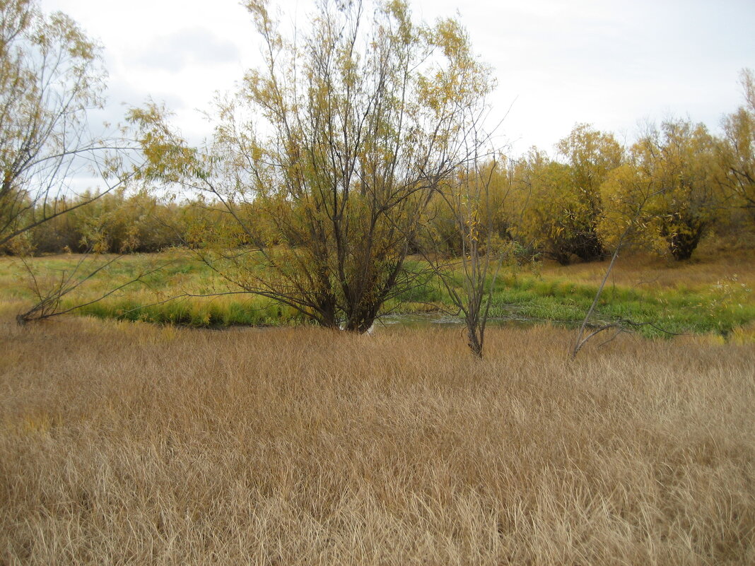 Осень - Anna Ivanova Осень - Anna Ivanova