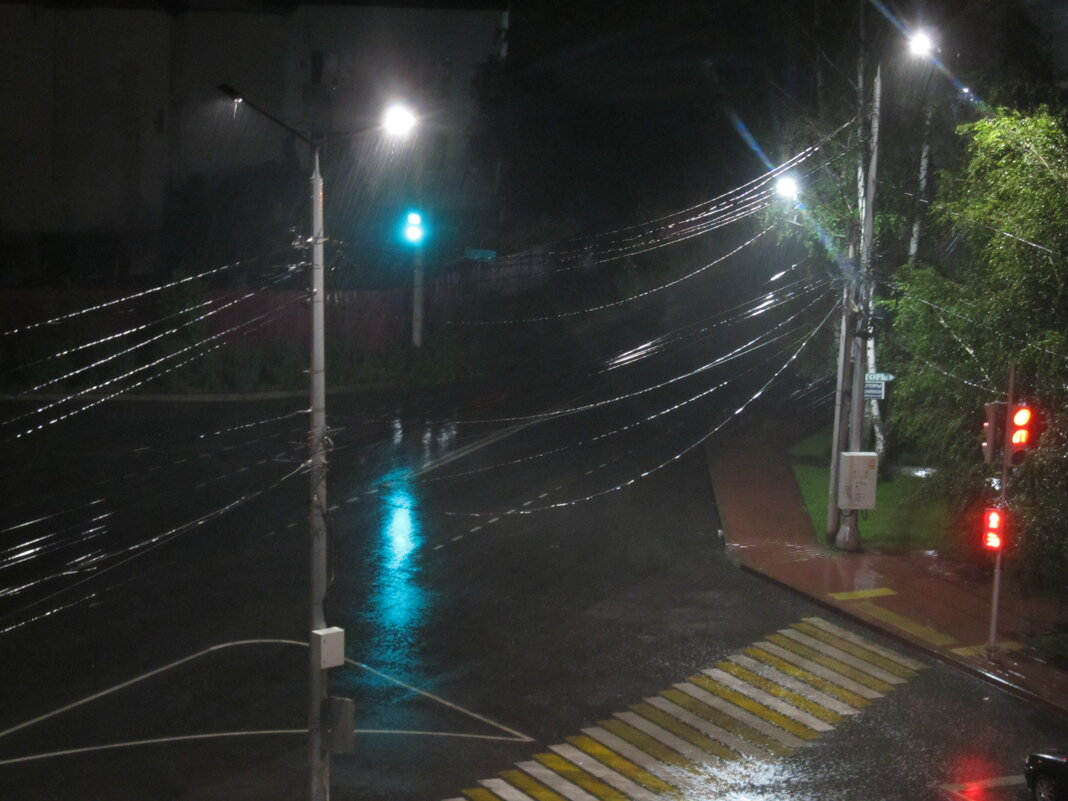 Воронеж - Елена Шаламова