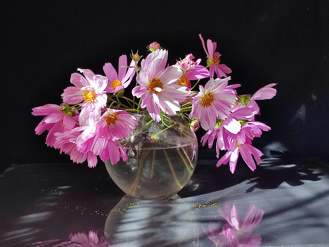 Космеи букетик - Валентина Богатко 