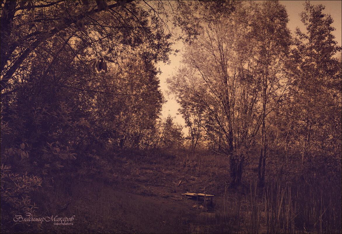 "Затерянный помост. Графика лета". ("Шагающий") © - Владимир Макаров